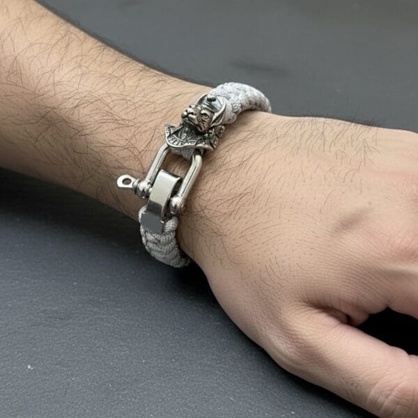 img_1111 The Silent Guardian: Anubis Silver Edition