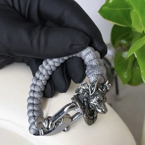 img_1117 The Silent Guardian: Anubis Silver Edition