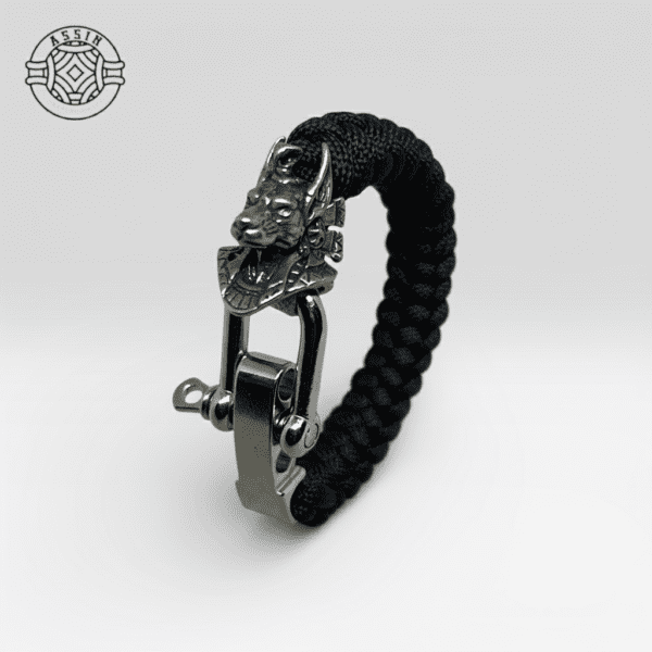 img_1130 The Silent Guardian: Anubis Silver Edition