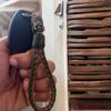Paracord Keychain with Warrior Skull Bead