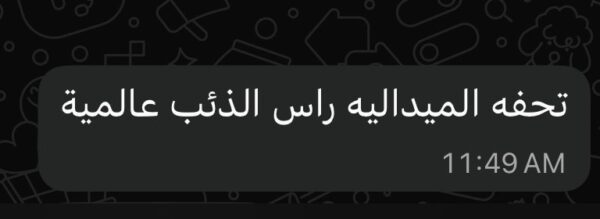 Handmade Paracord Keychain – Wolf Head Design , Stainless Steel, Steel Keychain